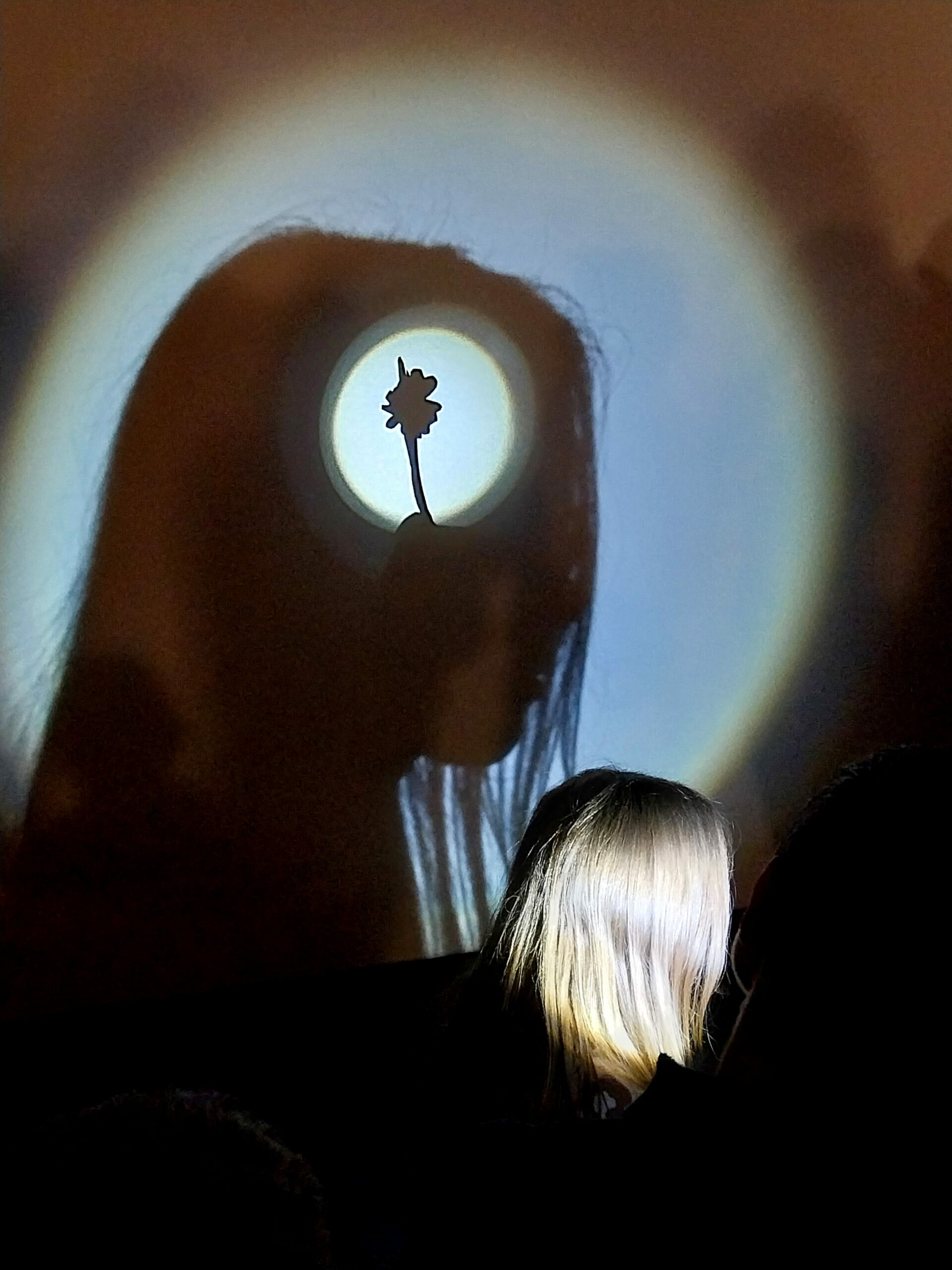 Atelier plastique et découverte du théâtre d'ombre après le spectacle L'Ombre des choses.