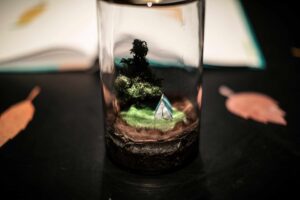 Photo du décor du spectacle miniature dans un bocal.