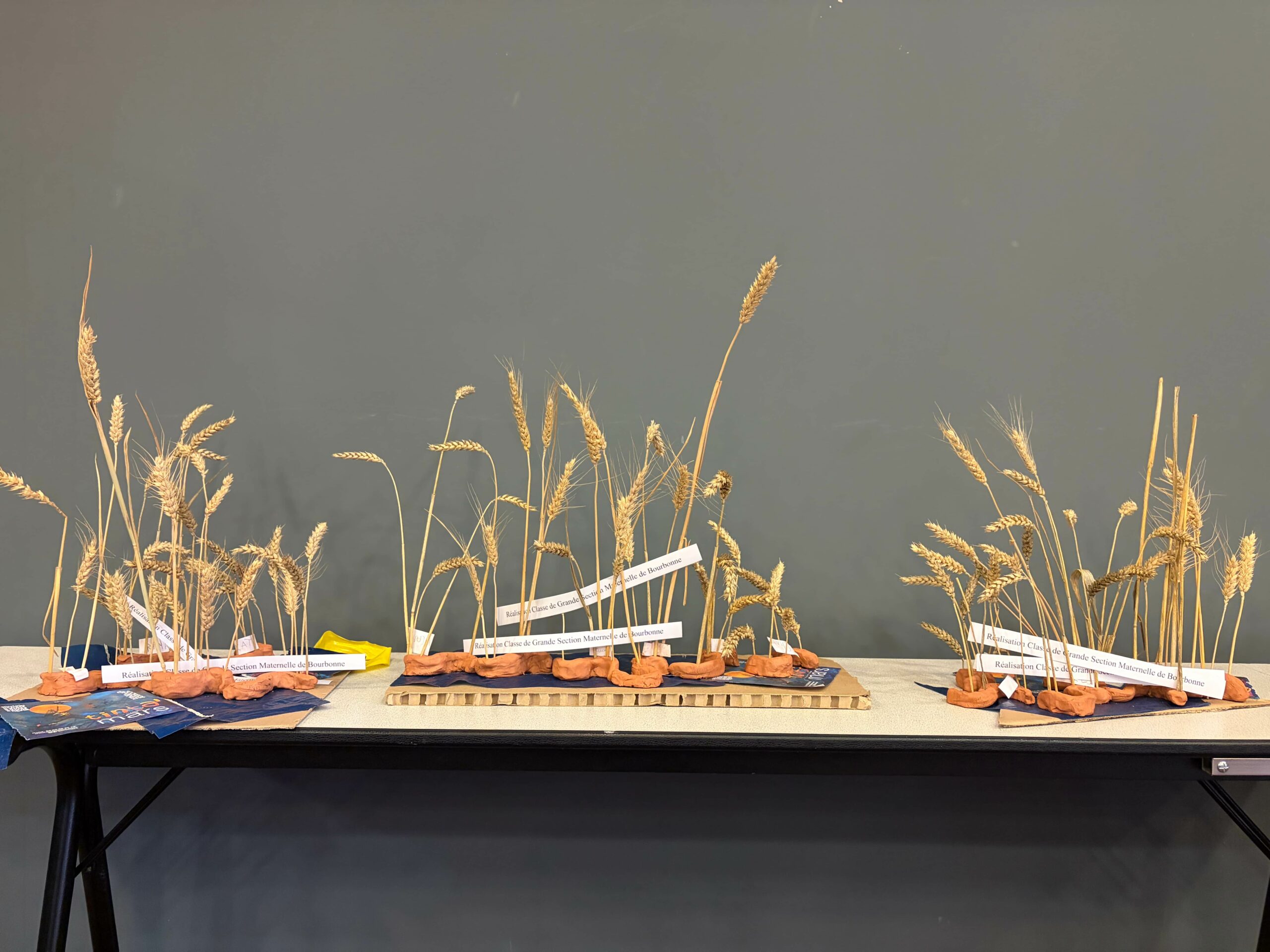 Photo d'œuvres réalisées avec du blé par des élèves de maternelle.